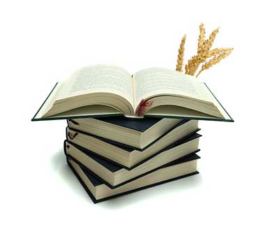 Resumen Biblioteca 2024