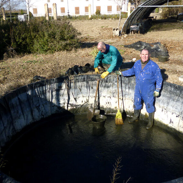 Trabajos del vaciado de la balsa