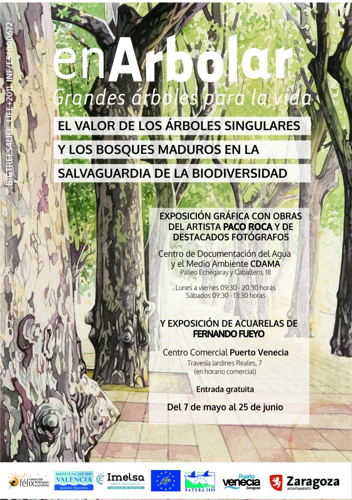 enArbolarZgz