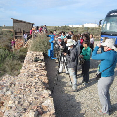 Salinas del Cabo