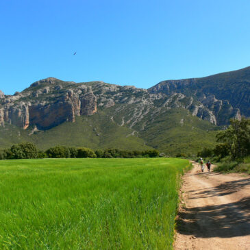 BOTÁNICA. San Julián de Banzo-Barranco de San Martín (Huesca)