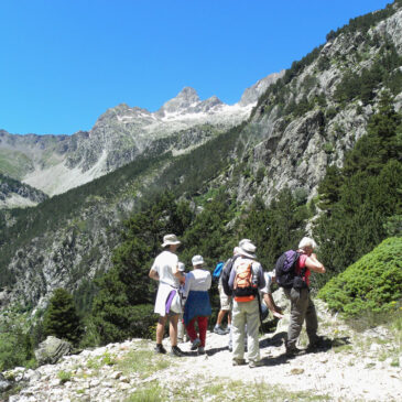 BOTÁNICA. EXCURSIÓN AL BALNEARIO DE PANTICOSA (Huesca)