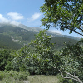 Macizo del Moncayo