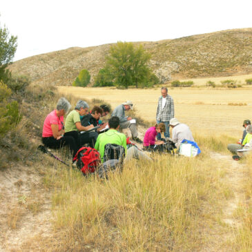 GEOLOGÍA DE LA SIERRA DE PARDOS (Zaragoza)