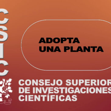 Botánica. Tercer encuentro ADOPTA UNA PLANTA