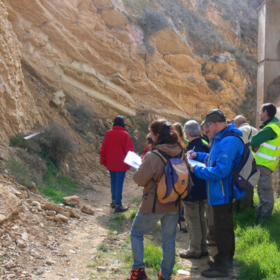 Alterncia de calizas y margas Facies Weald Cretácico inferior
