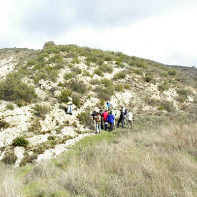 Miembro Yátoba de la Fm Carbonatada de Chelva
