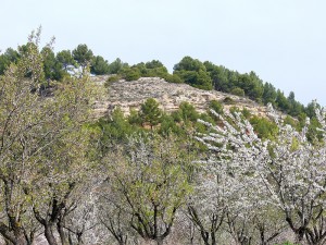 Estratos del Aragoniense