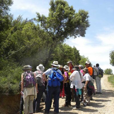 Atendiendo a las explicaciones