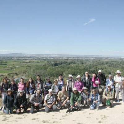 Componentes del curso.