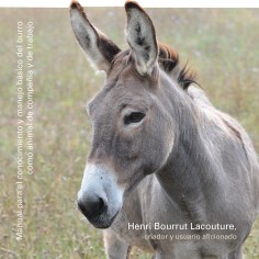 Libro: Homenaje al burro