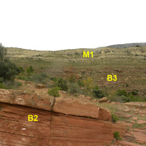 Bunt (B2-B3) y Muschelkalk (M1)