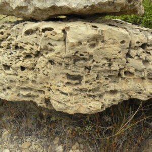 Dolomías oquerosas por bioturbación del Muschelkalk (M1)