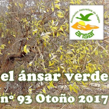 El Ansar Verde 93