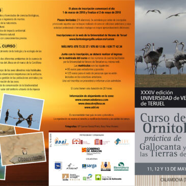 Curso de Ornitología en Gallocanta