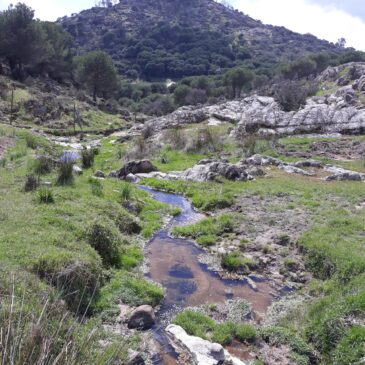 Viaje a la Sierra de Andújar (Jaén)