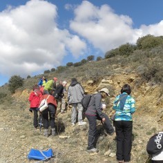 El grupo observando las características de la Formación Nogueras