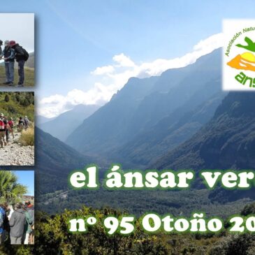 El Ansar Verde 95