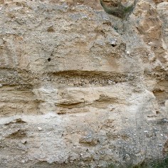 Cicatrices erosivas, piping, sedimentos granoselecionados... en el depósito de barranco Bco de las Almunias