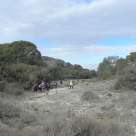 La calera. Peñaflor