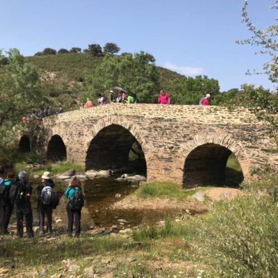 Arroyo de la Vid