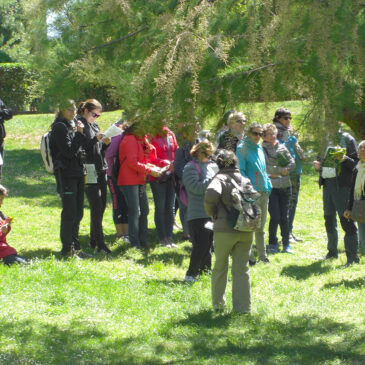 VISITANDO LOS PARQUES (Zaragoza)