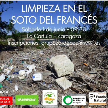 LAS ASOCIACIONES ECOLOGISTAS LIMPIAN DE PLÁSTICO EL EBRO