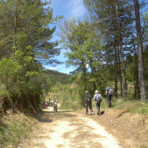 Por el camino