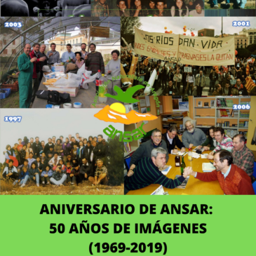 50 Años de imágenes