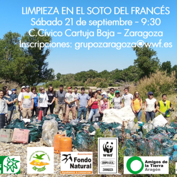 LIMPIEZA EN EL SOTO DEL FRANCÉS (SÁBADO 21 DE SEPTIEMBRE)