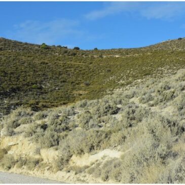 Las estepas del Ebro amenazadas de nuevo por el Rally a la Plana