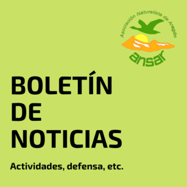 Boletín de noticias de ANSAR