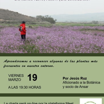 Grabación de la charla: Las plantas humildes de los caminos