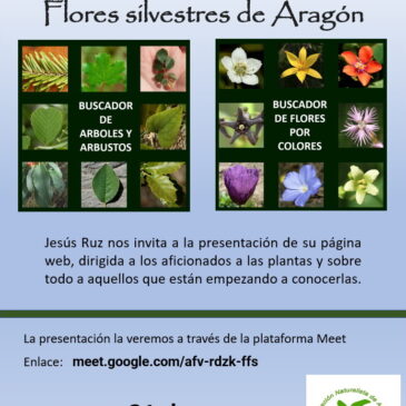 Charla/Presentación de la página web «Las Flores silvestres de Aragón»