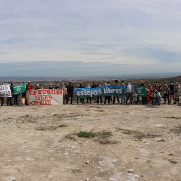 Semana en defensa de los montes de Torrero