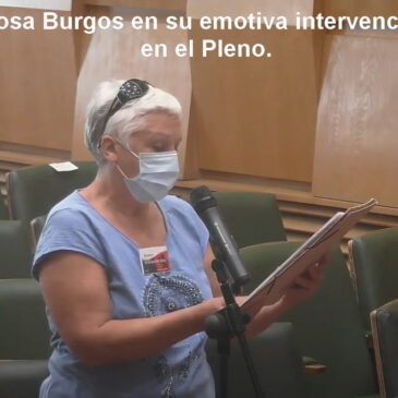 Apoyo a la moción sobre arbolado urbano en el Ayuntamiento de Zaragoza