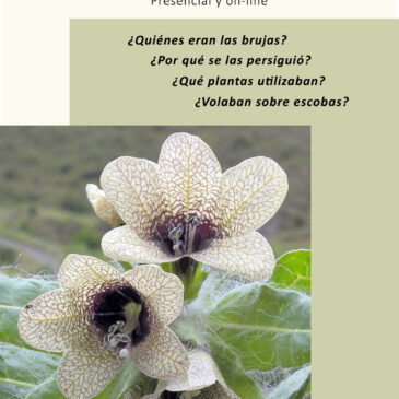 CHARLA ANSAR LAS BRUJAS Y LAS PLANTAS