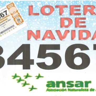 Lotería de Navidad ANSAR