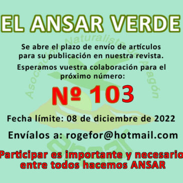 EL Ansar Verde Otoño 2022
