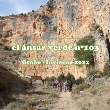 El Ansar Verde 103