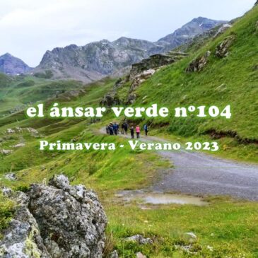 El Ansar Verde 104