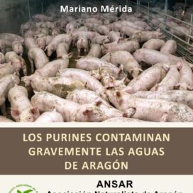 Contaminación por purines en Aragón – Charla de Mariano Mérida