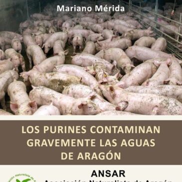 Contaminación por purines en Aragón – Charla de Mariano Mérida