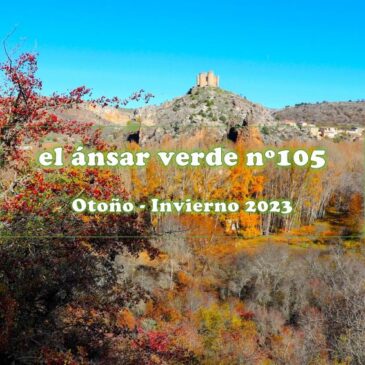 El Ansar Verde 105