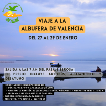 Viaje a la Albufera de Valencia