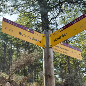 09 - Montalbán ruta rio Ancho