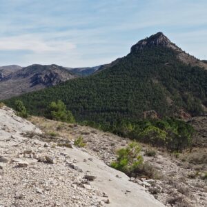 14 - Montalbán muela 