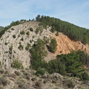 22- Bajada ruta rio Ancho