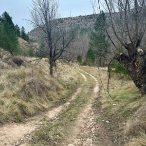 35 - Camino regreso