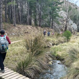 43 - Regreso ruta rio Ancho 